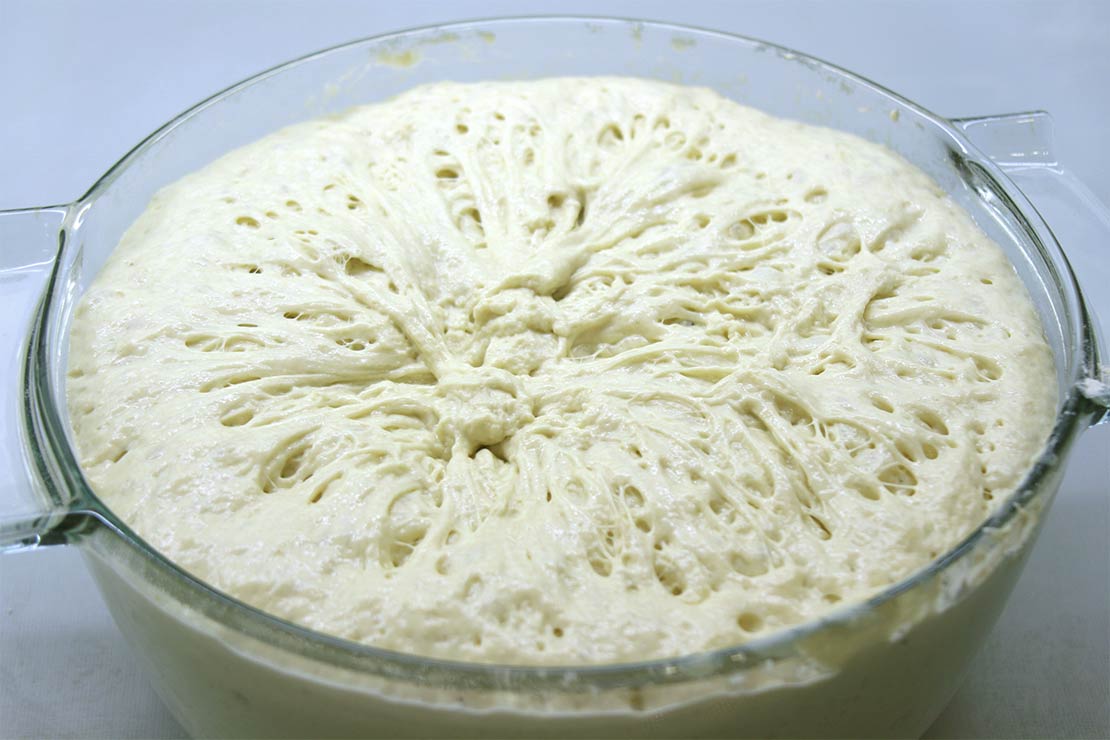 the dough after the first rise