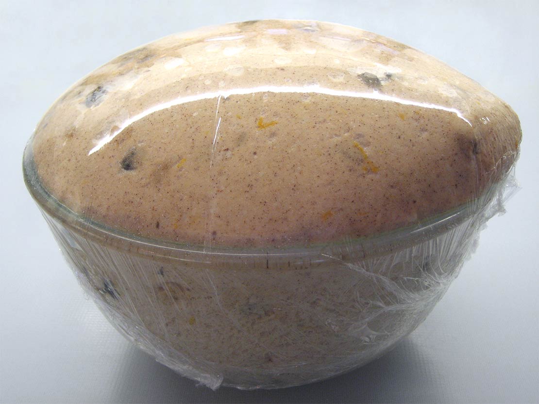 the risen dough