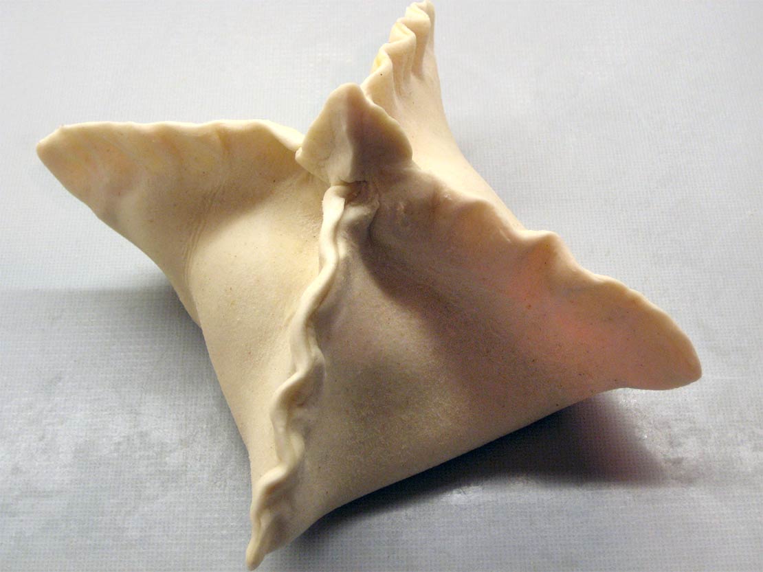 the folded parcel