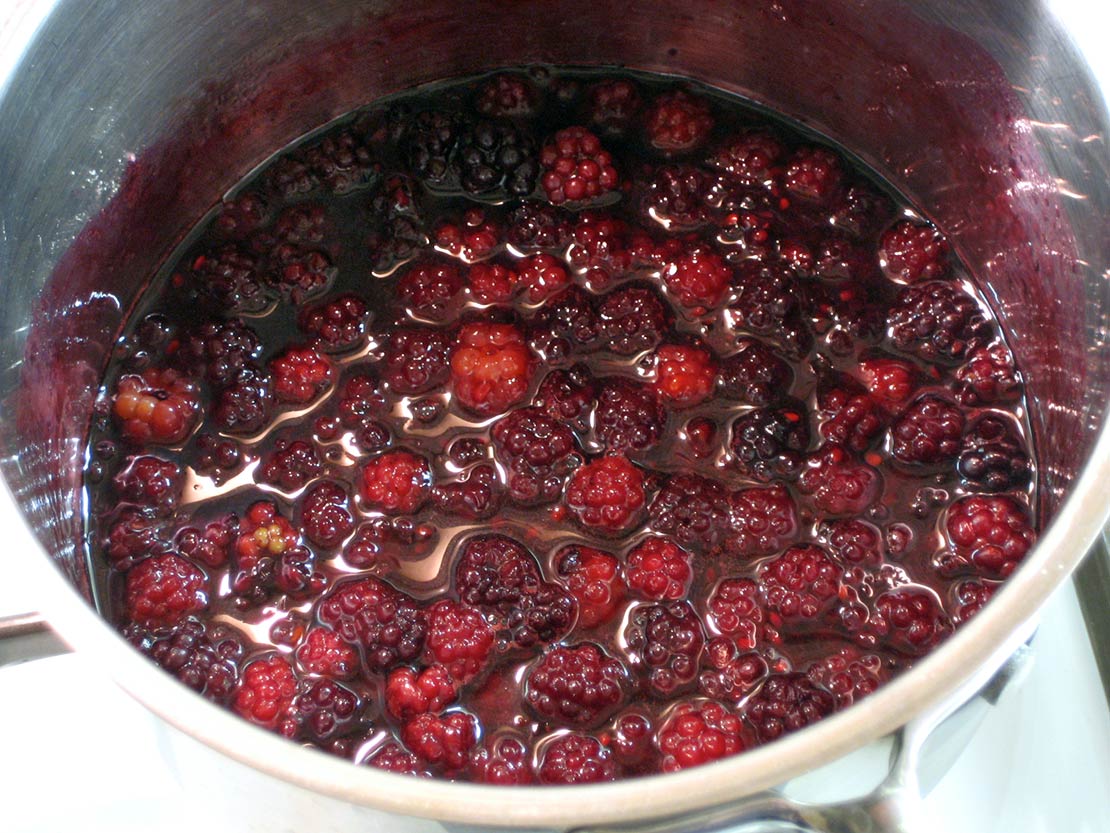 the cooked blackberries