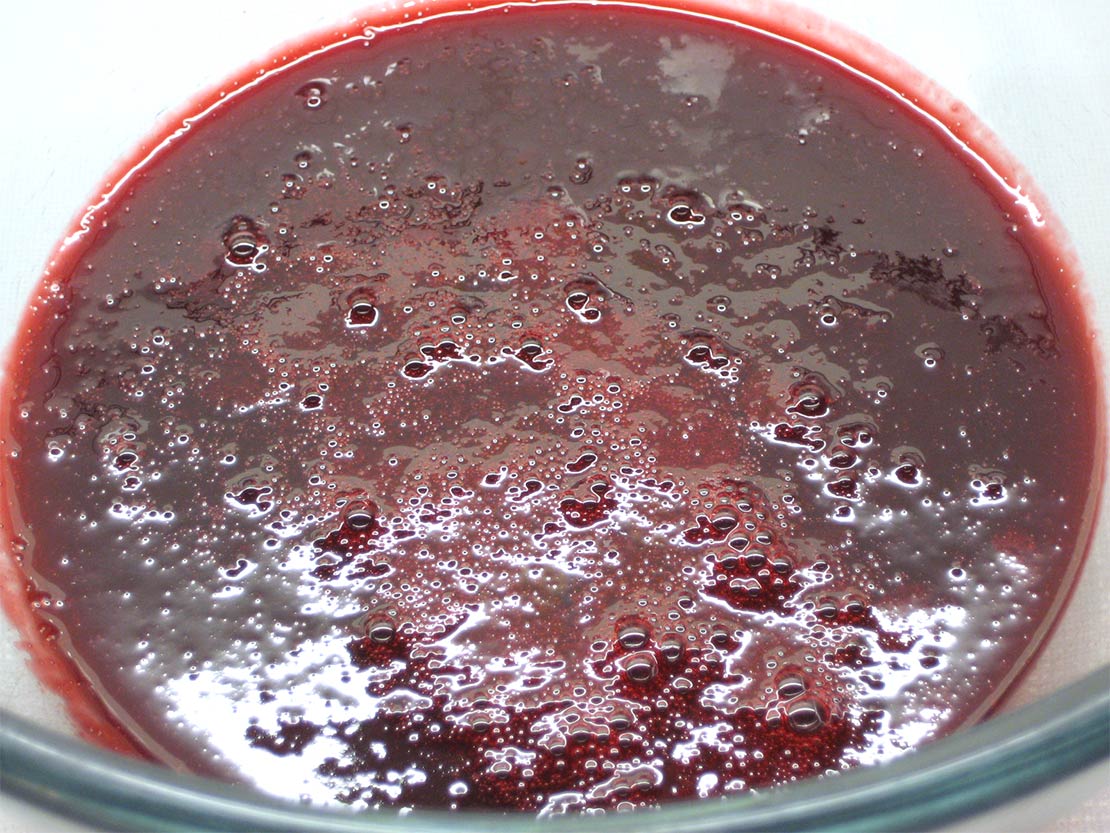 the blackberry sauce