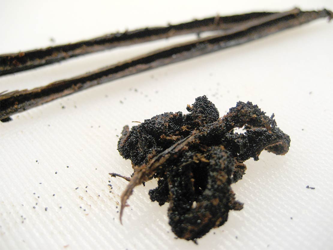 scraping the vanilla pod