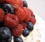 Pavlova large icon