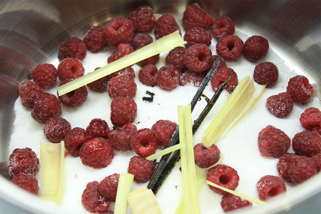 the infusion ingredients