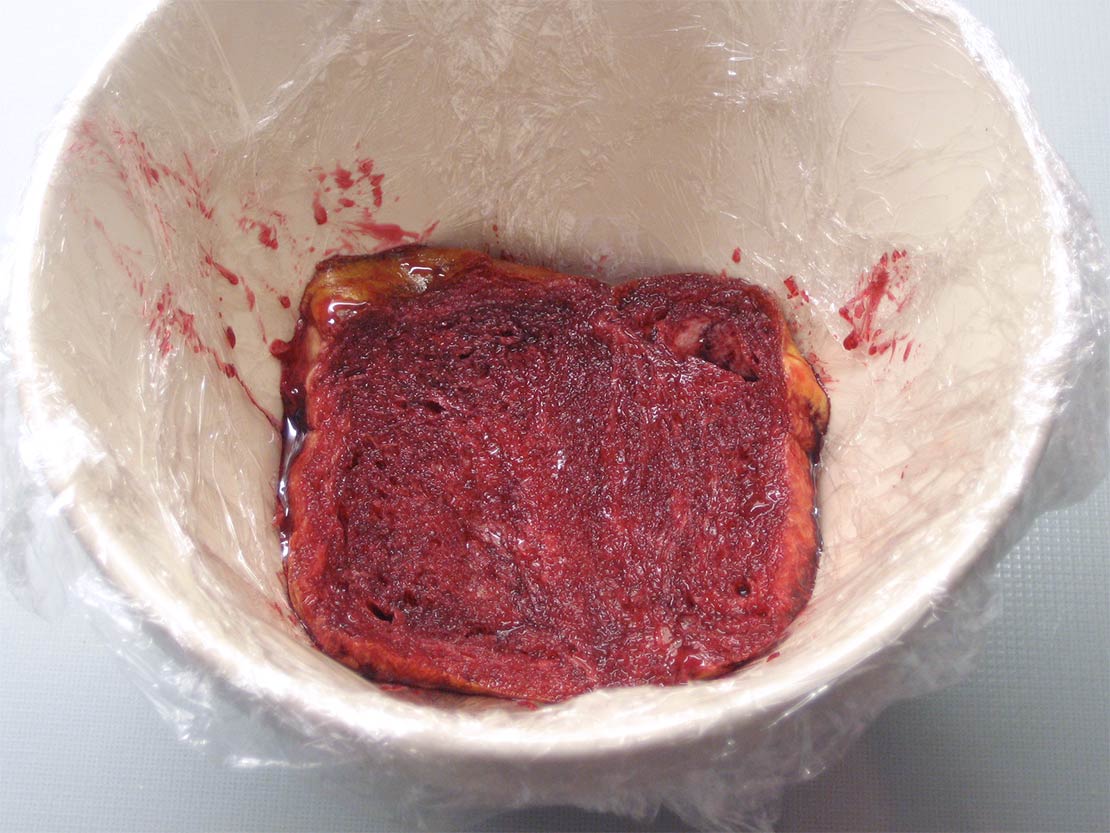the first layer of bread