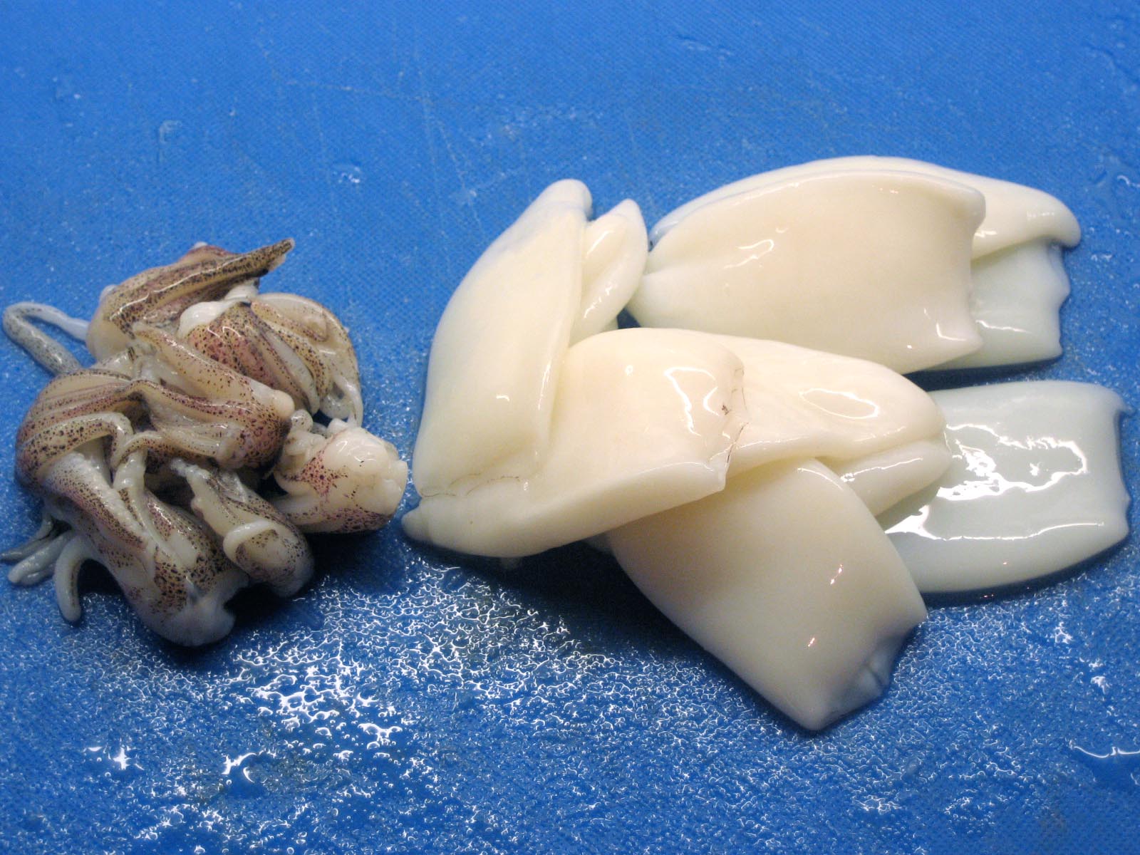 preparing the squid