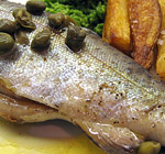 Fish in a bag large icon