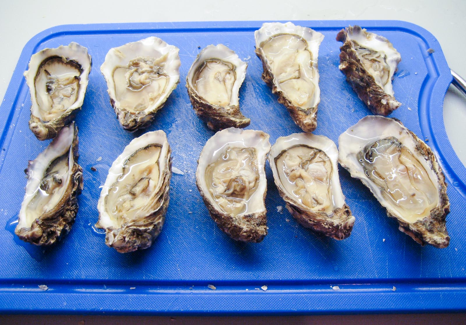 the shucked oysters