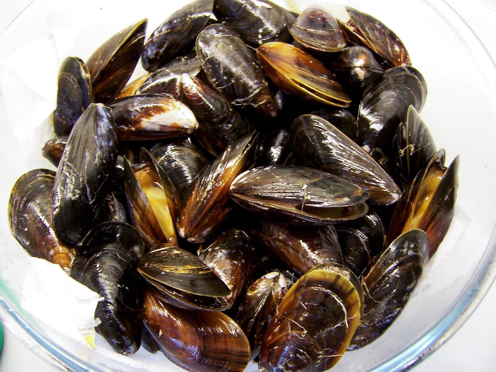 the cleaned mussels