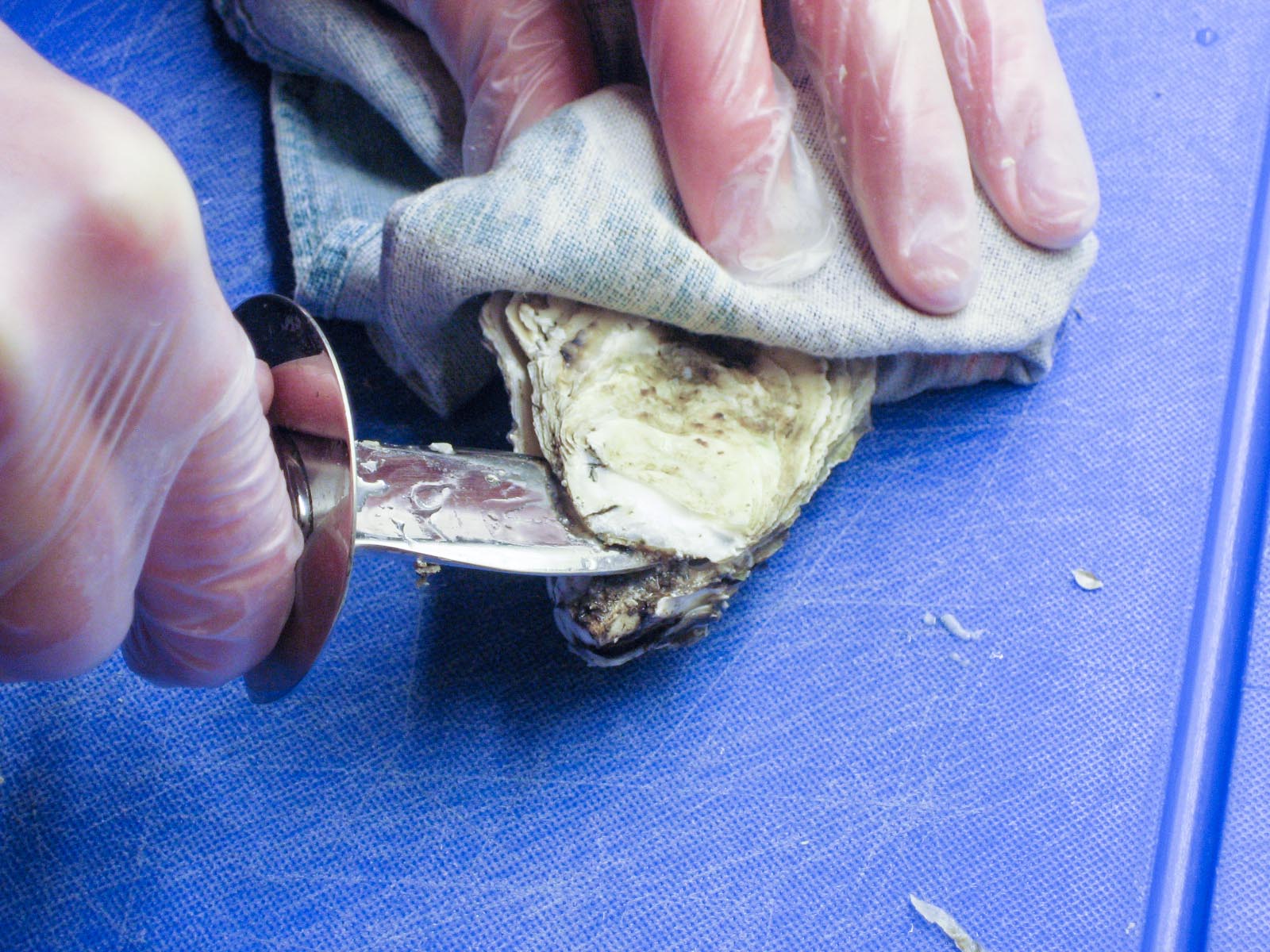 pushing into the shell