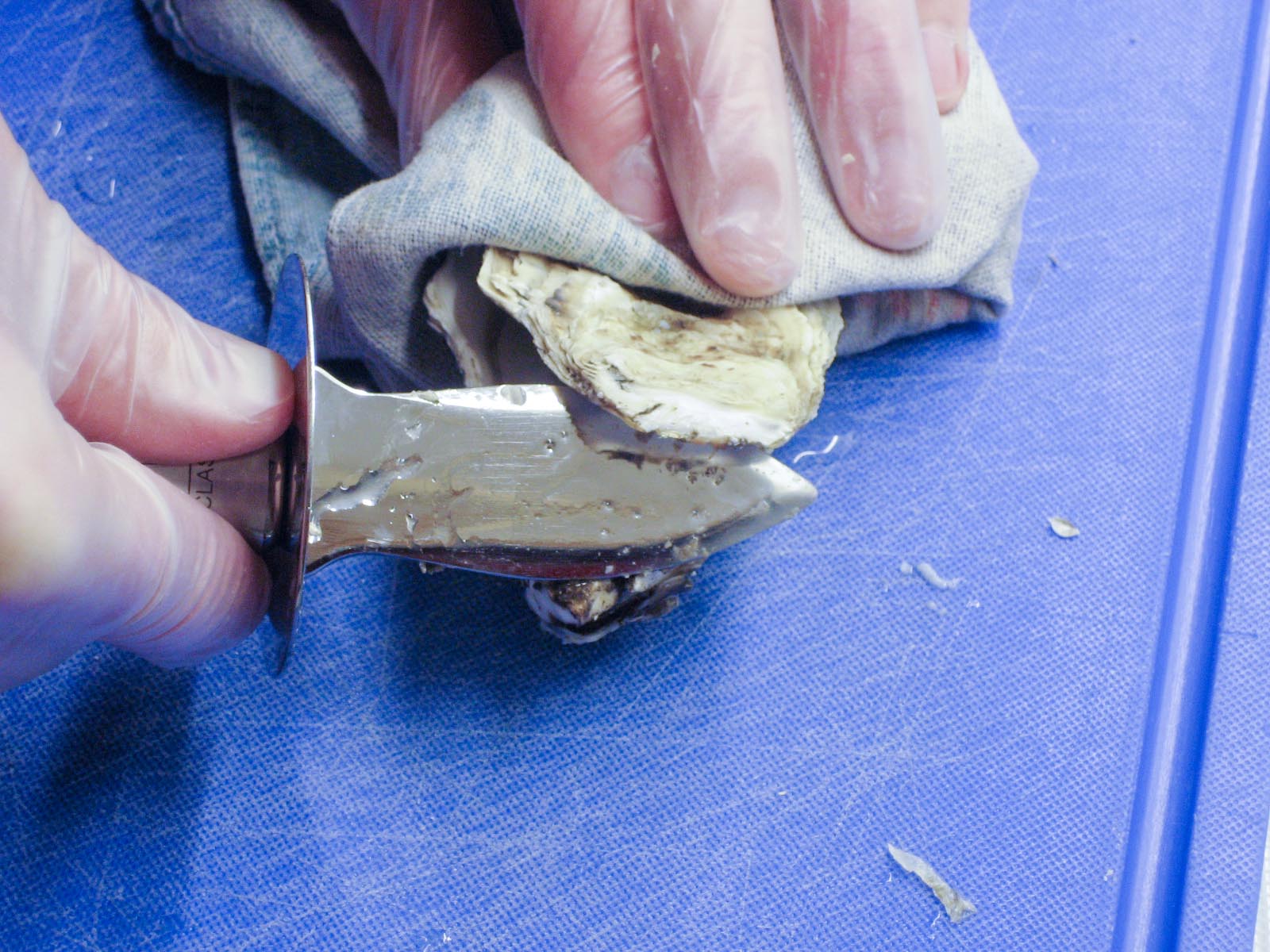 prying open the shell