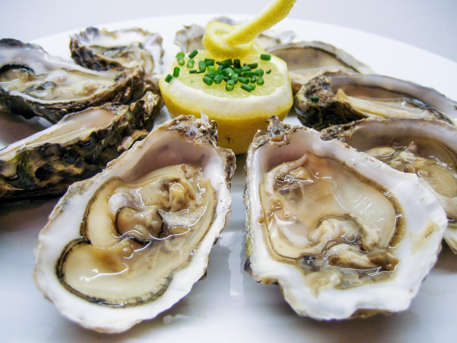 the freshly shucked oysters