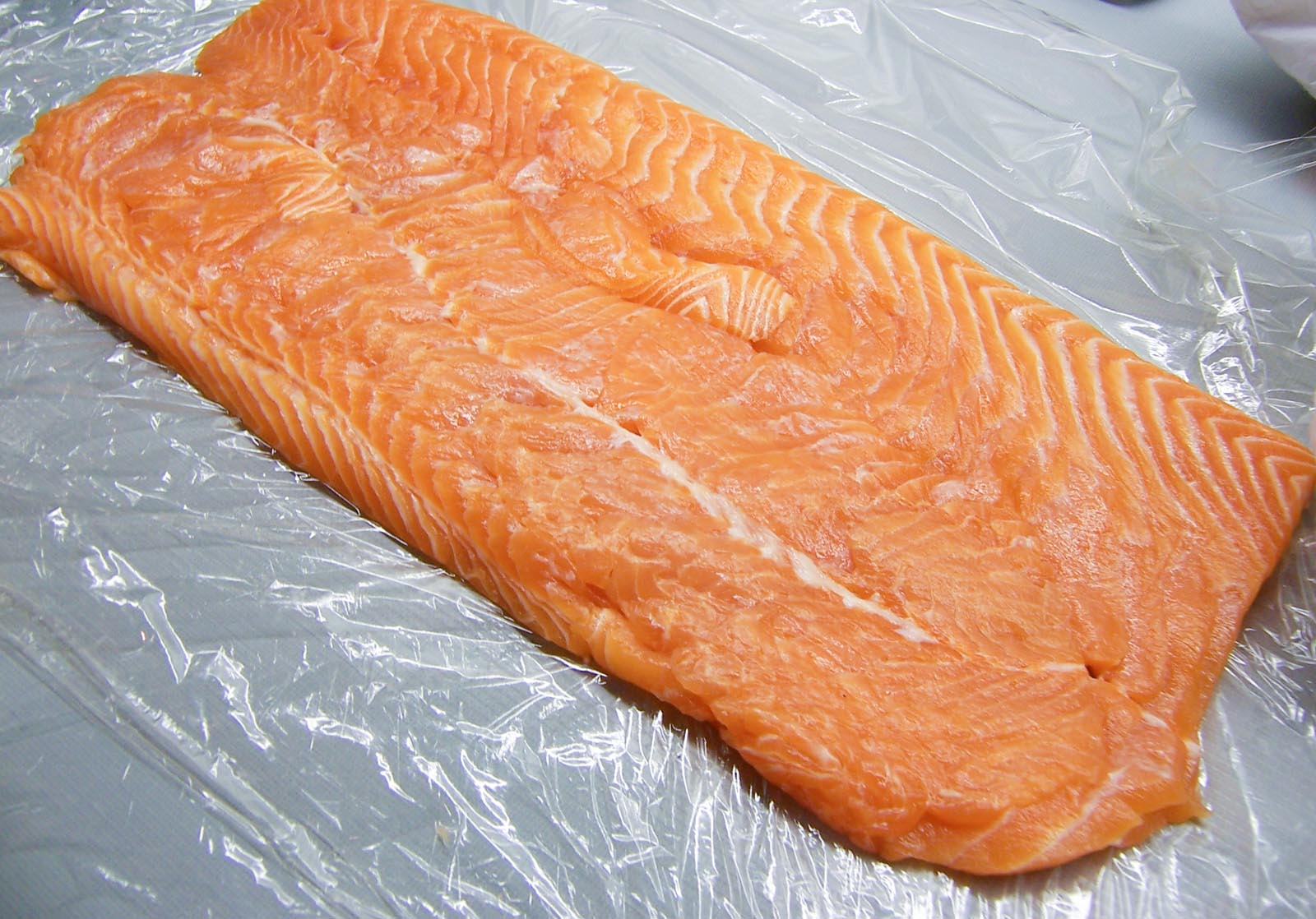 flattened salmon