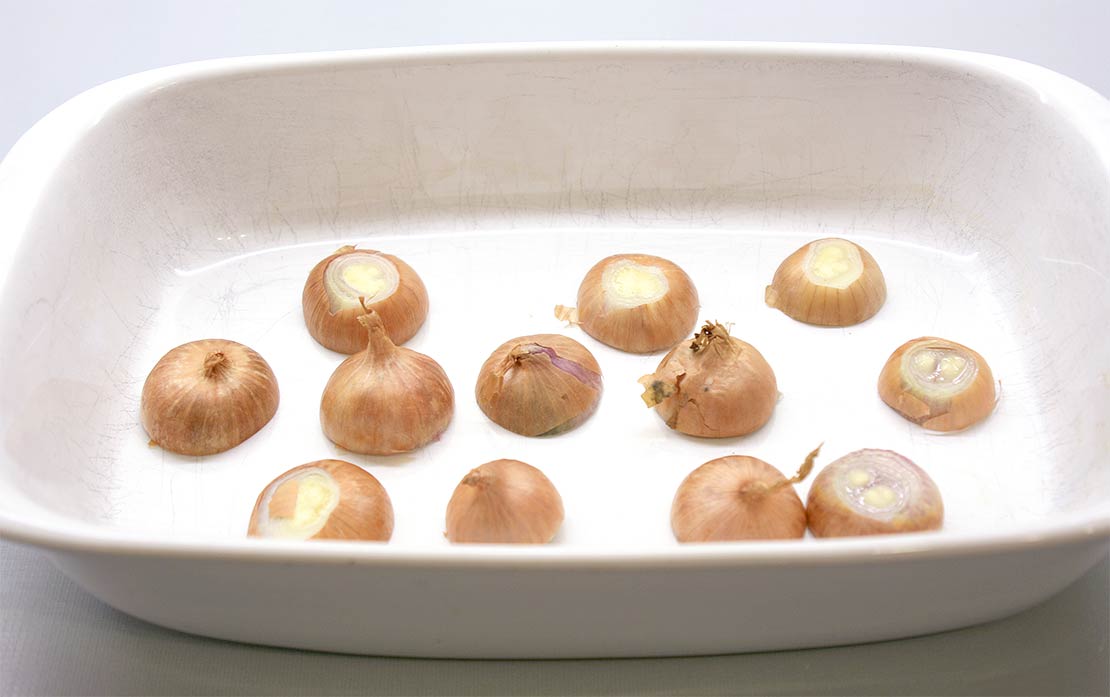 the shallot bed