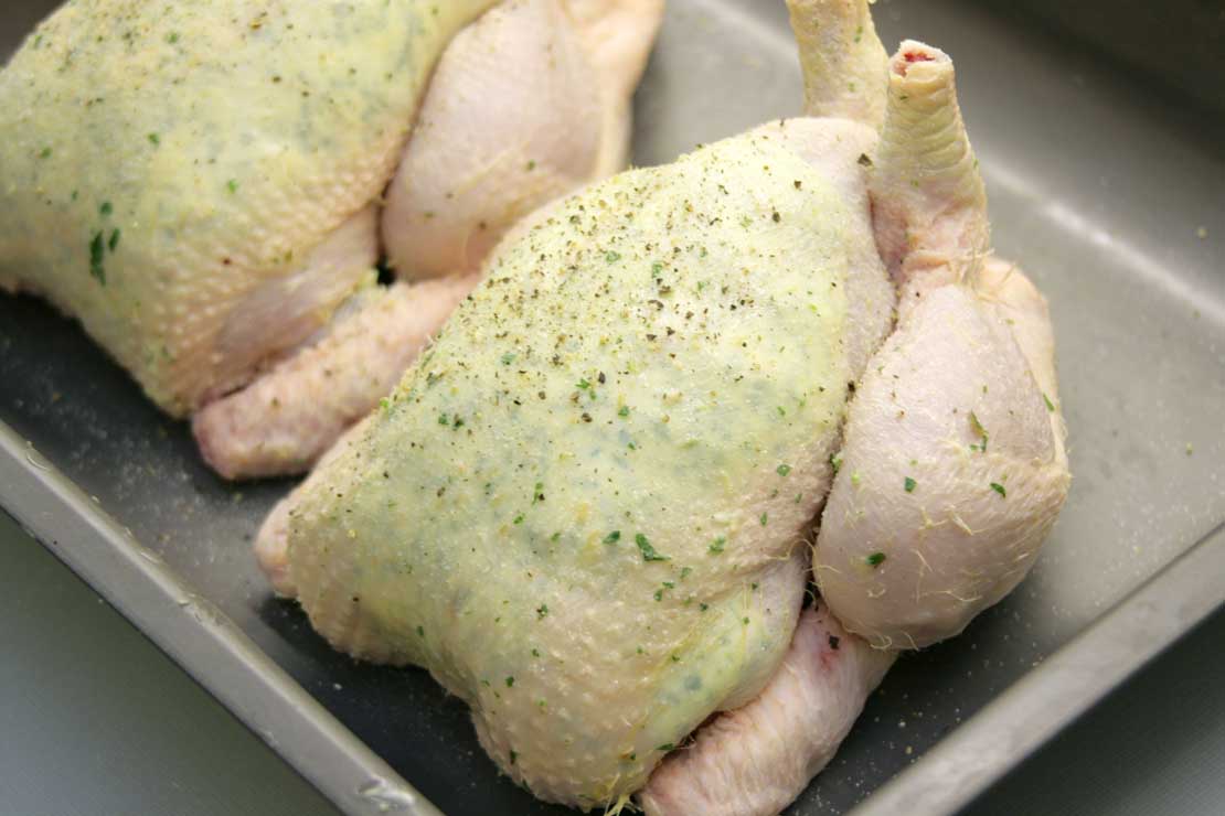 the skin stuffed and seasoned