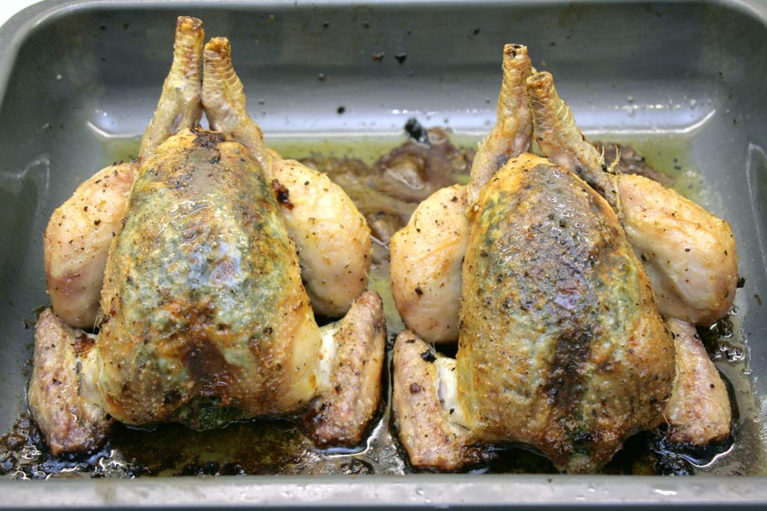 the roasted poussin