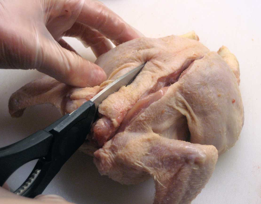 removing the backbone