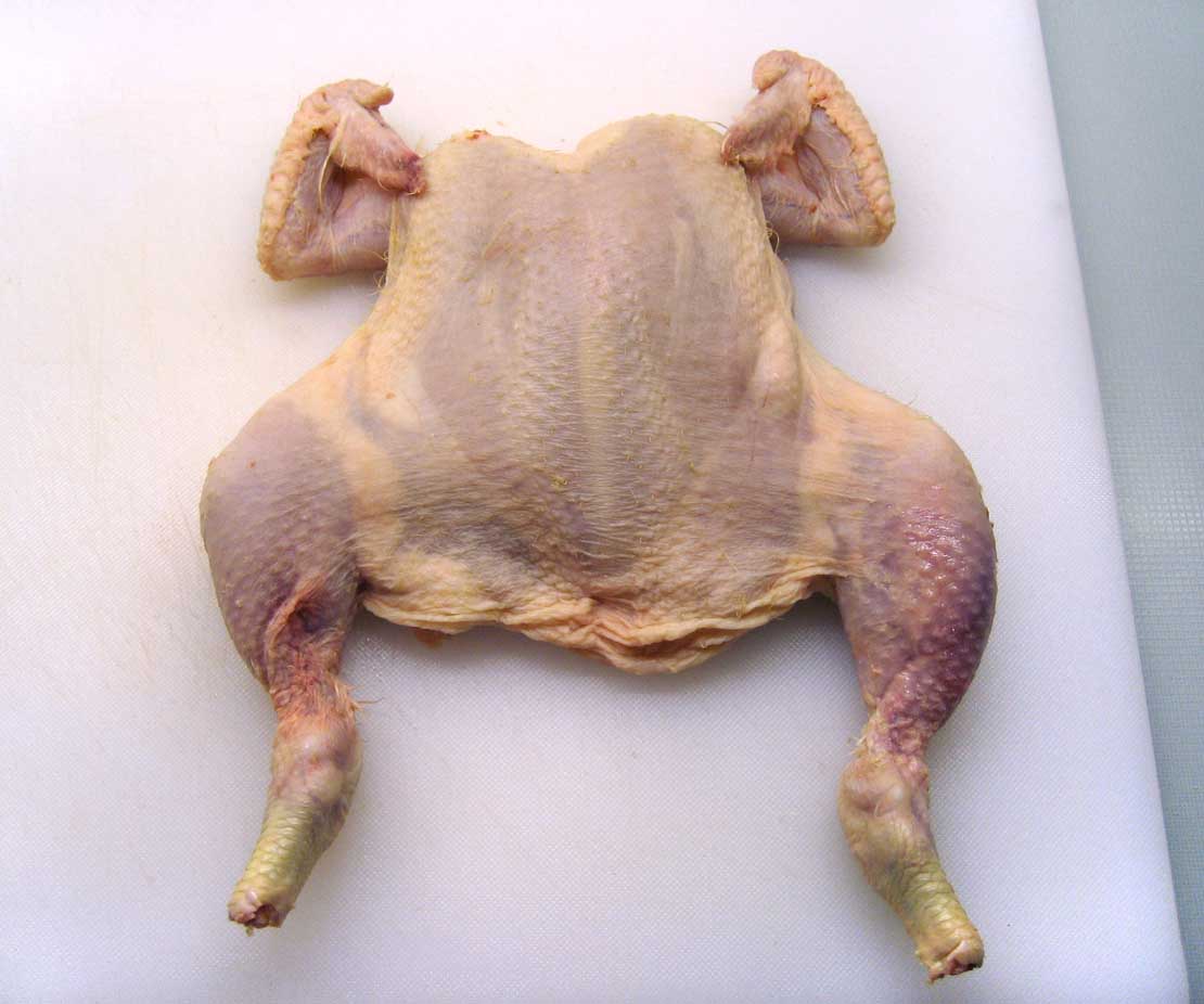 flatten the poussin