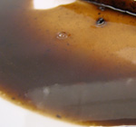 Gravy (Jus) large icon