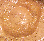 Shellfish Sabayon large icon