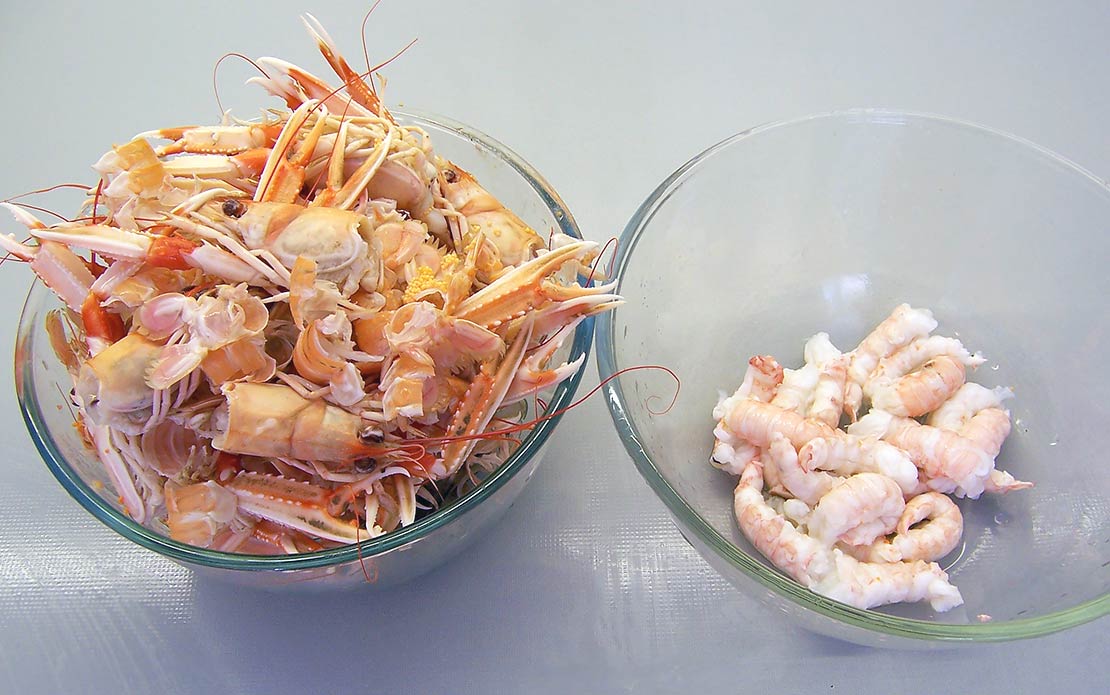 separating the langoustines