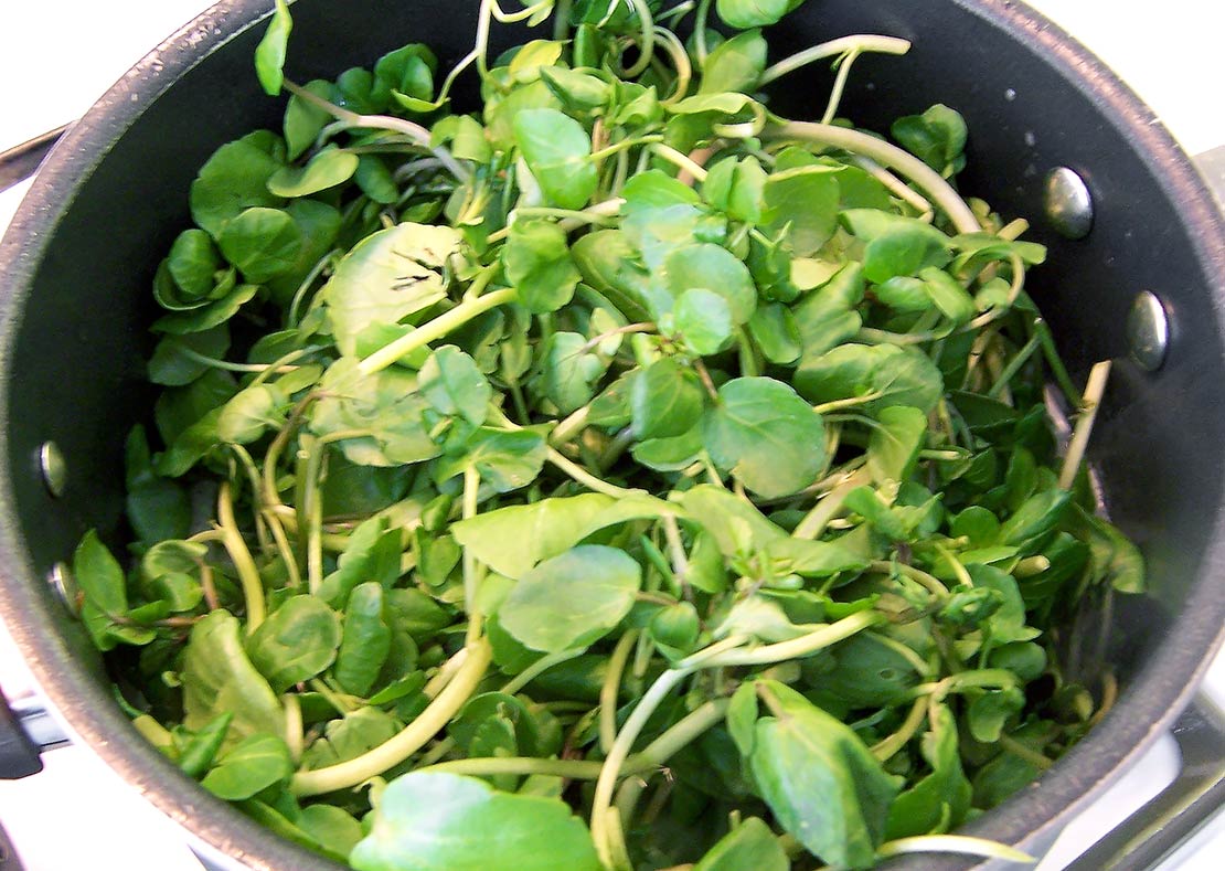 adding the watercress