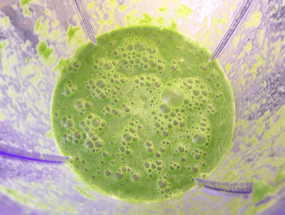 liquidized soup