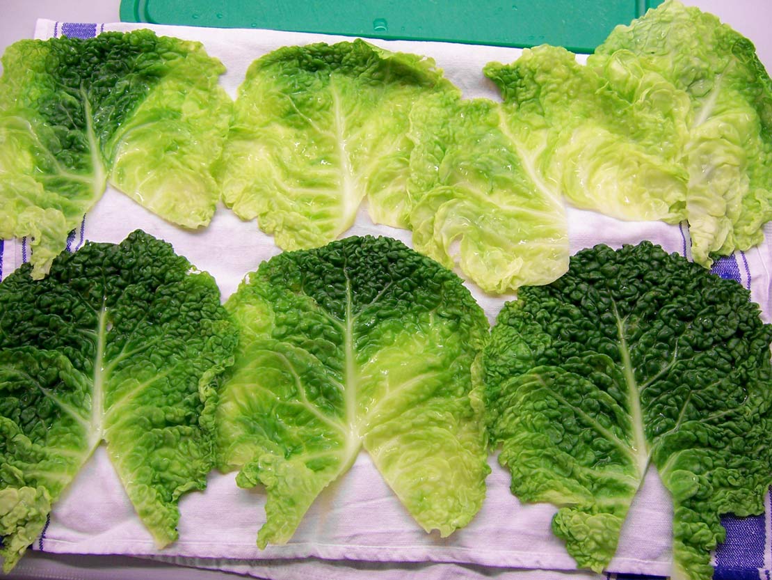 The blanched cabbage leaves