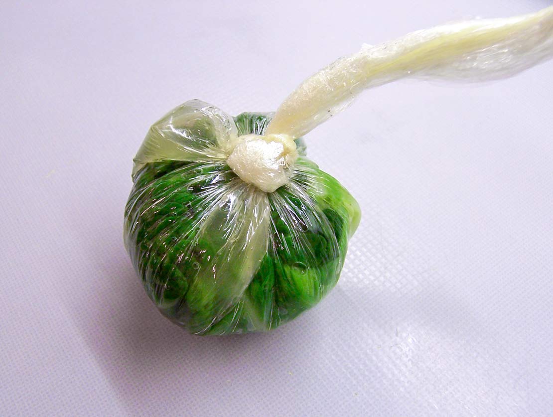 The tied and stuffed cabbage leaf