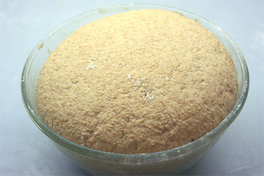the proved wholemeal bread dough