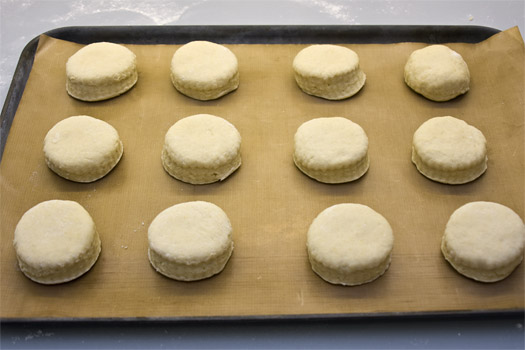 the cut out scones on a baking tray