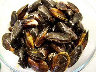 the cleaned mussels