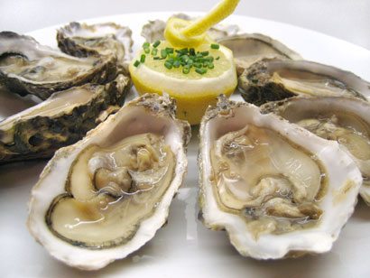 the freshly shucked oysters