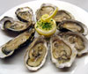 Oysters