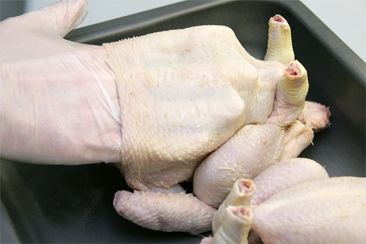 releasing the skin from the bird